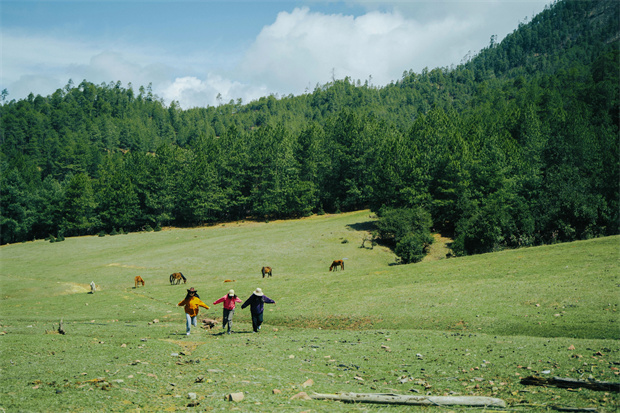 云南旅游,云南旅行社,云南團(tuán)建公司,云南策劃公司,云南會(huì)議會(huì)展,云南旅游地接,怒江旅游,怒江旅行社,怒江團(tuán)建公司,怒江策劃公司：“被羅古箐的山野擁抱、滌凈，再神清氣爽地回去”